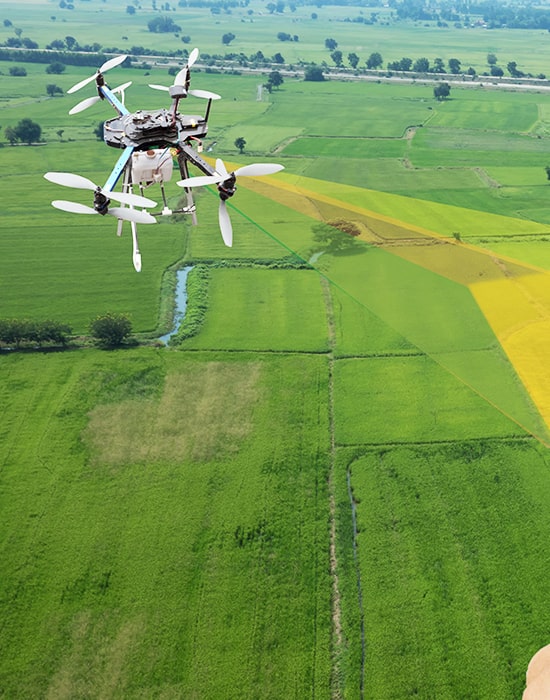 Agriculture