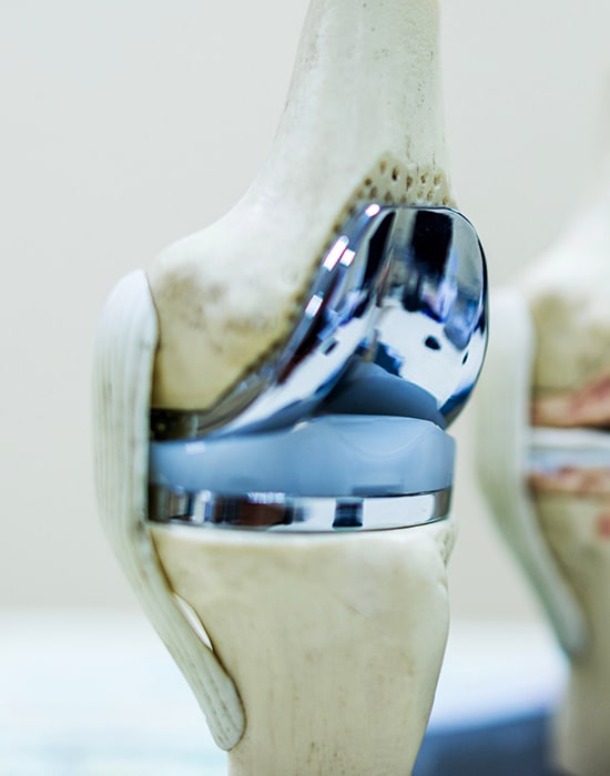 Bones and Internal Organs